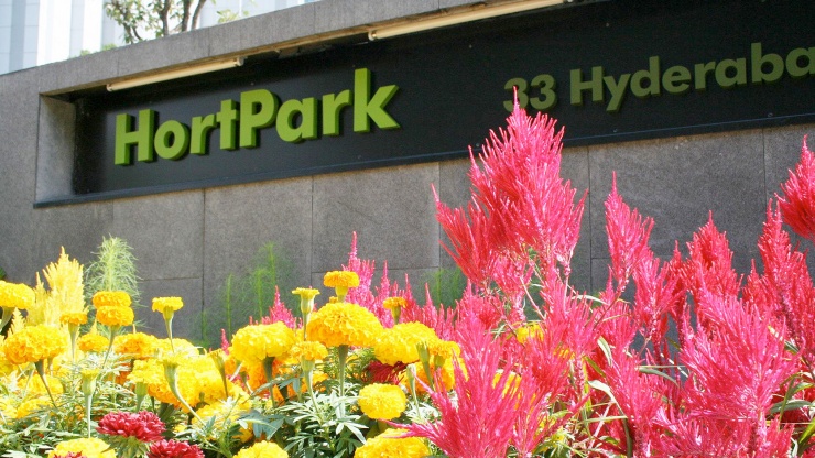 Flora Walk to Hortpark gardening hubs