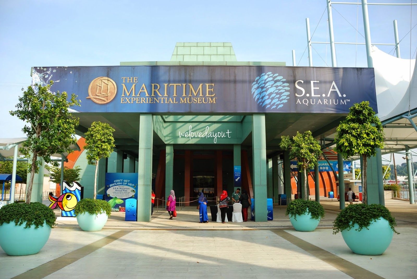 Explore the marine realm of S.E.A Aquarium