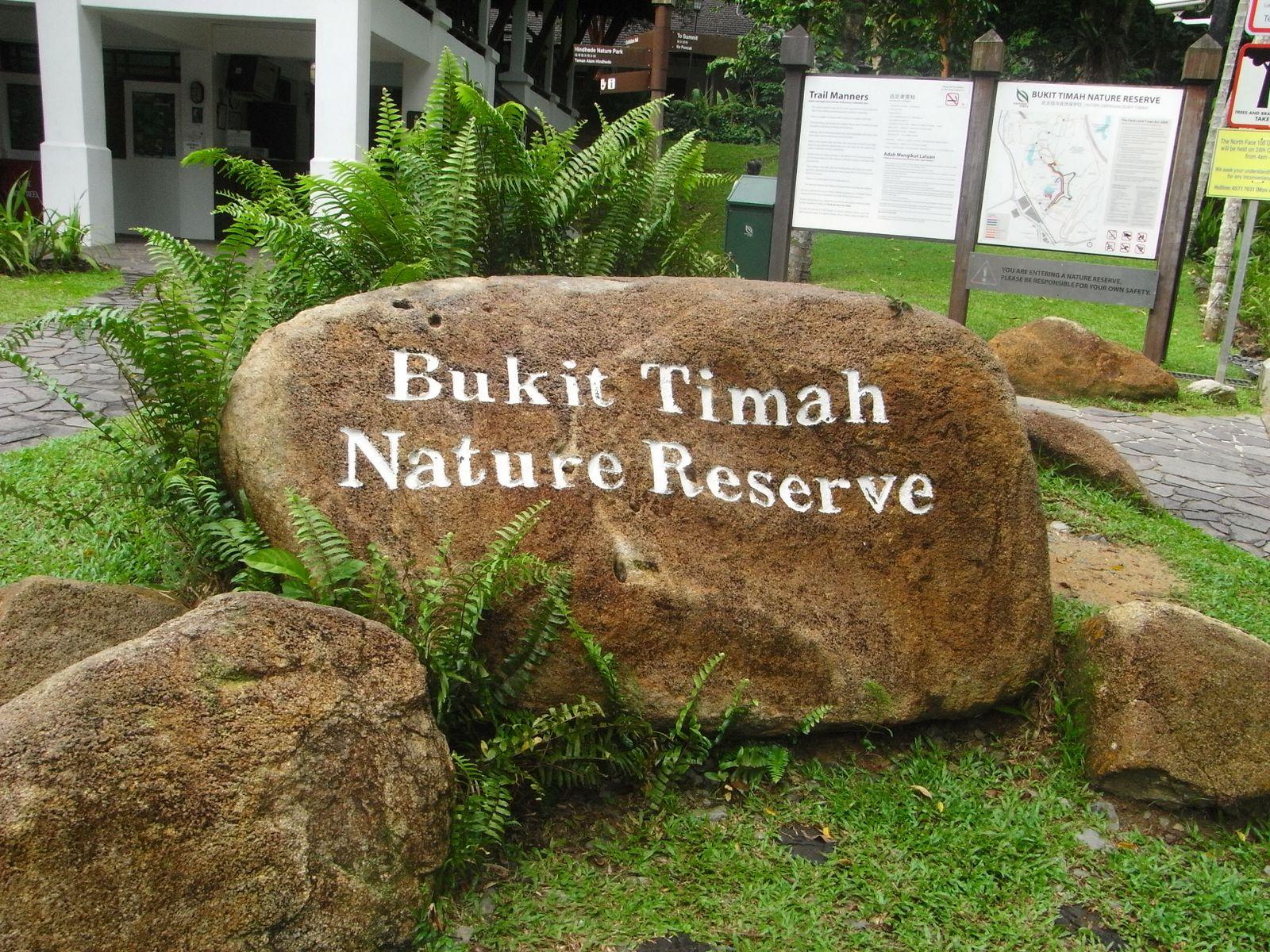 Explore the Bukit Timah Nature Reserve