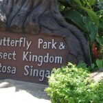 Butterfly Park & Insect Kingdom for nature lovers