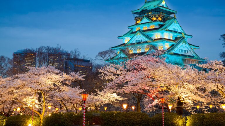 japanosaka-castle-at-night-cherry-blossom-season-osaka-japan[1]