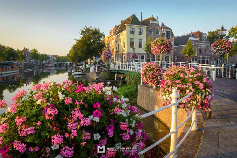 Leiden, City in Bloom