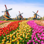 10 Tourists attraction in Netherlands