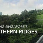 Southern Ridges trail started from Marang Trail walk 2022 (#1/7 Vlog)