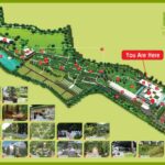 A childhood experience at The gardening Hub, Hortpark 2022 Part 2 Southern Ridges (#6/7 Vlog)
