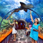 Ocean journey at S.E.A aquarium, world 2nd largest aquarium 2022 #1/2 (Vlog)
