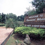 Leisure Walk at Clementi Woods Park 2022 (Vlog)