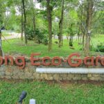 Jurong ECO garden Hidden Park at the Fringe of NTU 2022 (Vlog)