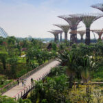 Gardens by the bay Singapore, a world of Gardens & nature park 2022 (Vlog)