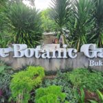 Singapore Botanic Gardens, tropical botanic garden on the UNESCO’s World Heritage List 2022 (Vlog)