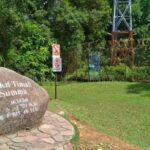 Explore the Bukit Timah Nature Reserve Part 1 Hike to Summit 2022 (Vlog)