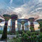 Best Tour of SuperTree Grove, OCBC Skyway and Observatory 2022 (Vlog)