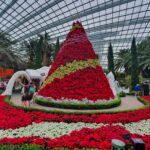 Christmas Seasons of Bloom 2022 Flower DOME Gardens by the BAY (Vlog)