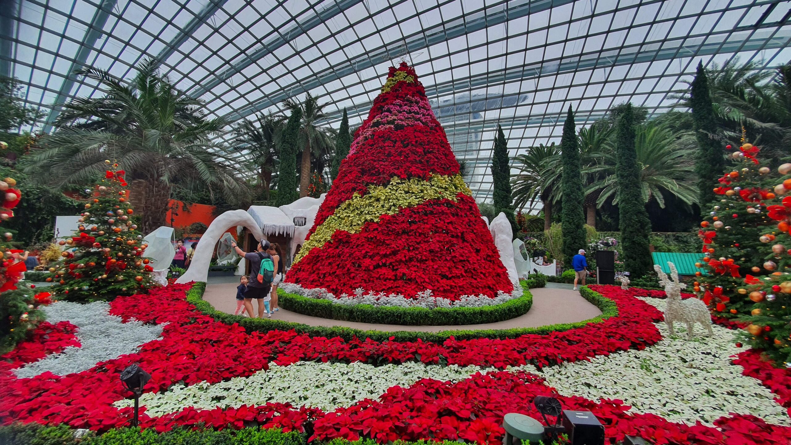 Christmas Seasons of Bloom 2022 Flower DOME Gardens by the BAY (Vlog)