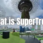 Supertree Grove Observatory Deck: Discover the Best Views of Singapore’s Skyline 2023 (Vlog)