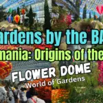 Tulipmania: Origins of the Tulip in SINGAPORE Gardens by the BAY 2023 (Vlog)