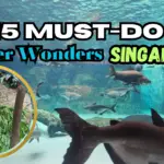 Top 15 Things to Do in River Wonders