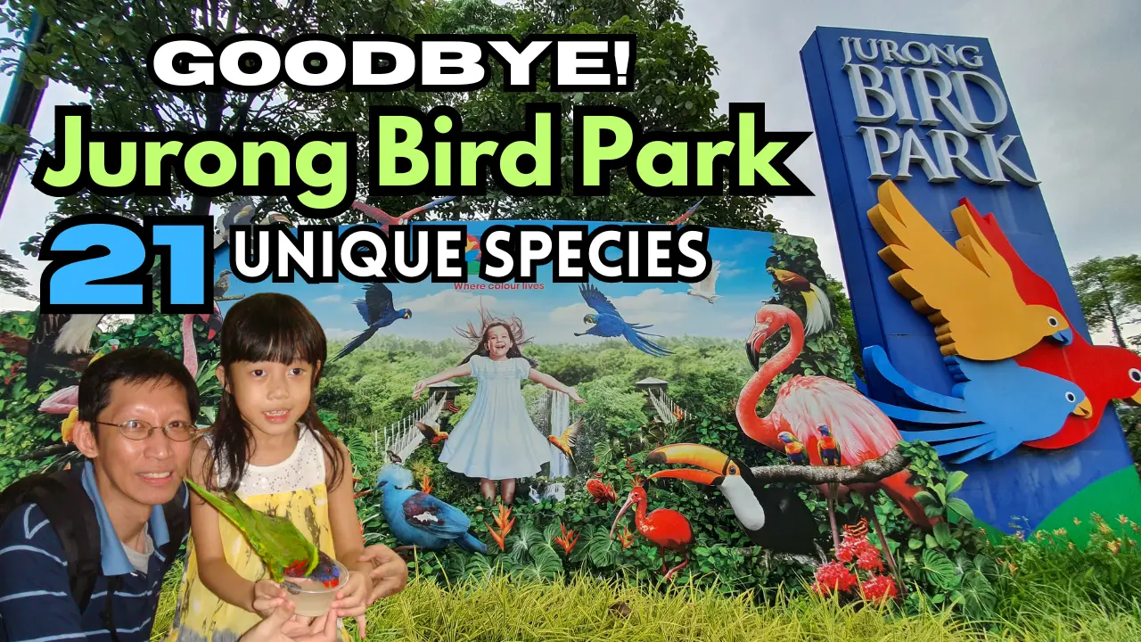 21 Must-See Bird Species JURONG BIRD PARK, GOODBYE 2023