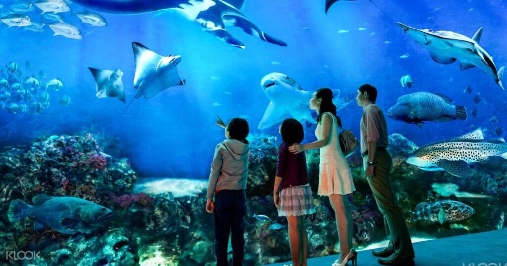 Best 10 Must See at S.E.A. Aquarium Sentosa Singapore