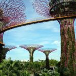 Exploring Singapore’s National Gardens: A Botanical Paradise