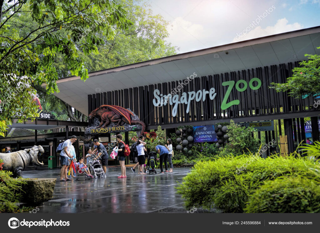 Best Things to DO in Singapore ZOO | Most Popular ASIA Wildlife Wonderland