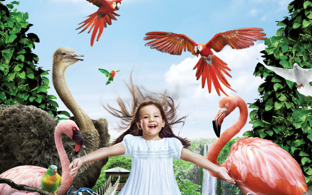 A Day at Bird Paradise Singapore: Top Attractions and Highlight