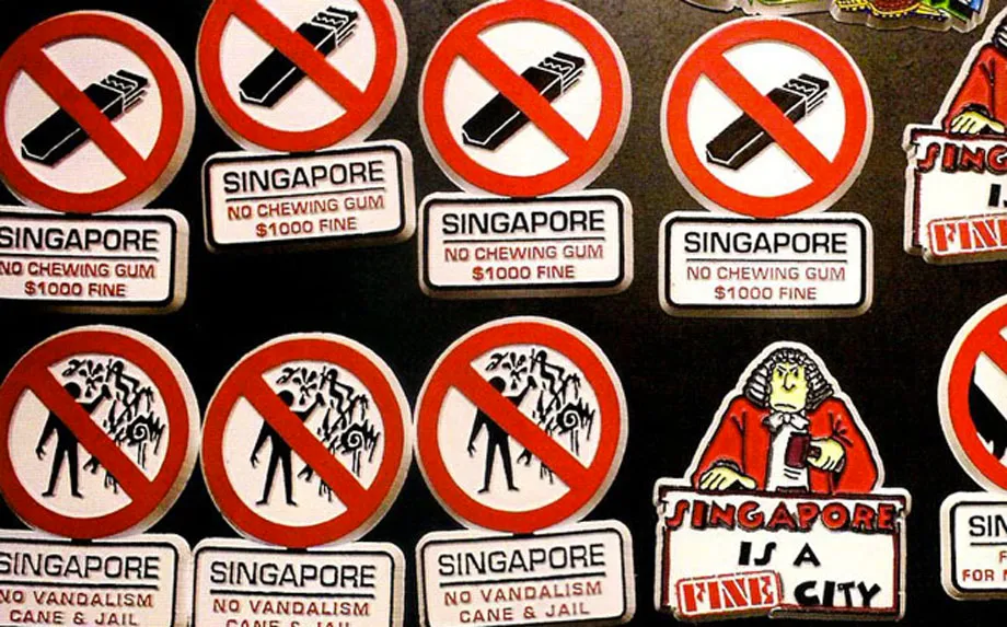 Understanding the Law in Singapore