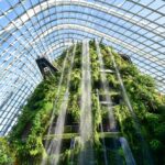 What Makes Cloud Forest a Must-Visit in Singapore? Find Out Here!